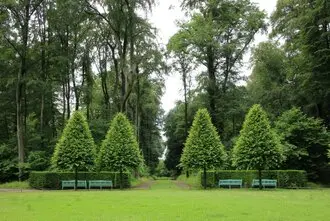 Talamos y podamos en altura Burgos Arboricultura